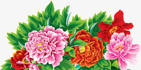 牡丹花開富貴圖 免費高清PNG素材，點綴你的創意設計
